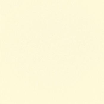 Außen-Rollos mit UV-Schutz Creme 65 x 140 cm (B x H) Polyester