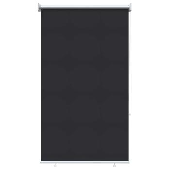 Außen-Rollos mit UV-Schutz Anthrazit 85 x 140 cm (B x H)
