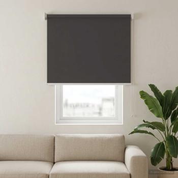 Außen-Rollos mit UV-Schutz Anthrazit 100 x 230 cm (B x H)