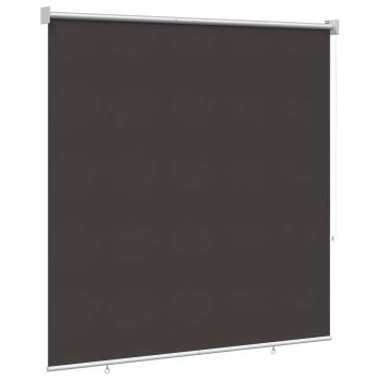 Außen-Rollos mit UV-Schutz Anthrazit 100 x 230 cm (B x H)
