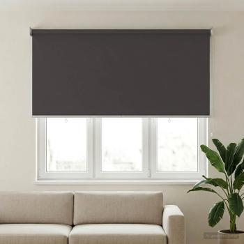 Außen-Rollos mit UV-Schutz Anthrazit 100 x 230 cm (B x H)