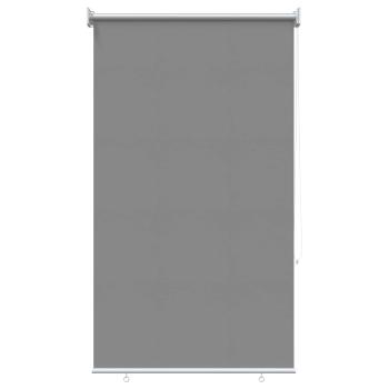 Außen-Rollos mit UV-Schutz Hellgrau 100 x 230 cm (B x H)