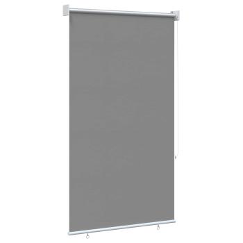 Außen-Rollos mit UV-Schutz Hellgrau 100 x 230 cm (B x H)