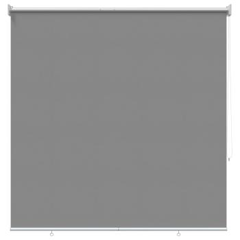 Außen-Rollos mit UV-Schutz Hellgrau 100 x 230 cm (B x H)