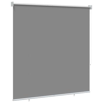 Außen-Rollos mit UV-Schutz Hellgrau 100 x 230 cm (B x H)