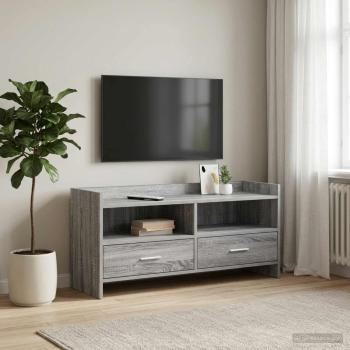 ARDEBO.de - TV-Schränk 100 x 33 x 47 cm Grau Sonoma Holzwerkstoff