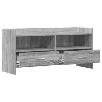 TV-Schränk 100 x 33 x 47 cm Grau Sonoma Holzwerkstoff