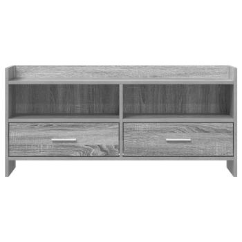 TV-Schränk 100 x 33 x 47 cm Grau Sonoma Holzwerkstoff