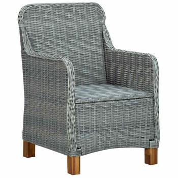 Gartenst?hle mit Kissen 2 Stk. Poly Rattan Hellgrau