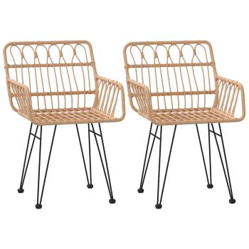 Gartenstühle 2 Stk. mit Armlehnen 56x64x80 cm PE-Rattan