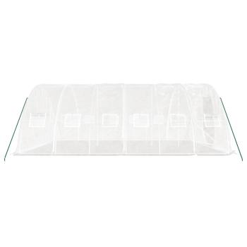 Gewächshaus mit Stahlrahmen Weiß 30 m² 6x5x2,3 m