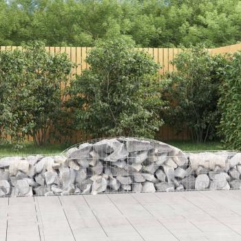 ARDEBO.de - Gabionen mit Hochbogen 25 Stk. 300x50x40/60 cm Verzinktes Eisen