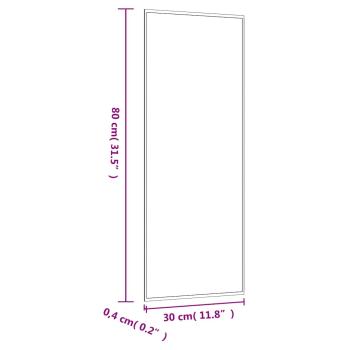 Wandspiegel 30x80 cm Glas Rechteckig