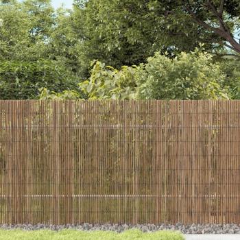 ARDEBO.de - Gartenzaun 500x80 cm Schilf