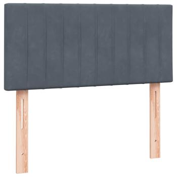 Boxspringbett mit Matratze Dunkelgrau 80x220 cm Samt