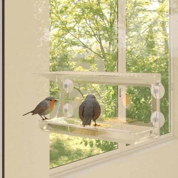 ARDEBO.de - Fenster-Futterstellen für Vögel 2 Stk. Acryl 30x12x15 cm
