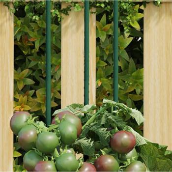 ARDEBO.de - Pflanzenstützen 30 Stk. Grün 90 cm Stahl