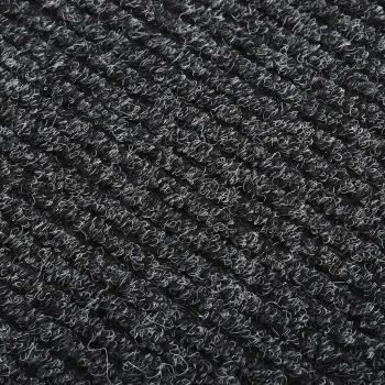 Schmutzfangläufer Anthrazit 100x500 cm