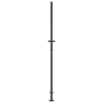 Gartentor Anthrazit 100x200 cm Stahl Gras-Design