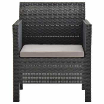 Gartenst?hle mit Kissen 2 Stk. PP Rattan Anthrazit