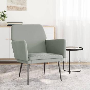 ARDEBO.de - Sessel Hellgrau 62x79x79 cm Samt