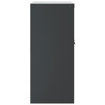 Aktenschrank Anthrazit 79x40x90 cm Stahl