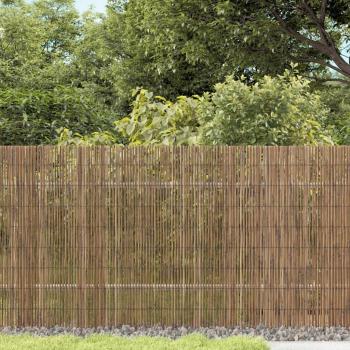 ARDEBO.de - Gartenzaun 300x80 cm Schilf