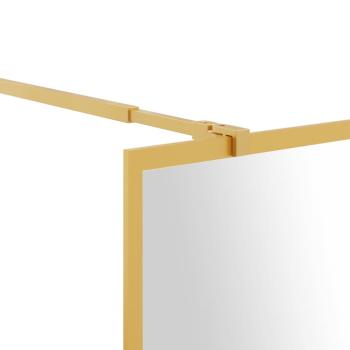 Duschwand f?r Begehbare Dusche ESG Klarglas Golden 118x195cm
