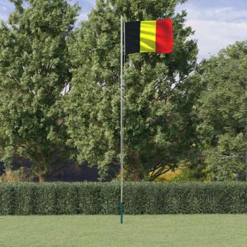 ARDEBO.de - Belgische Flagge mit Mast 6,08 m Aluminium