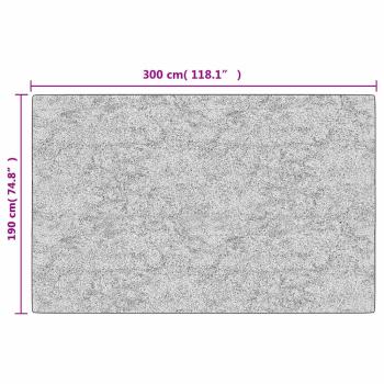 Teppich Waschbar 190x300 cm Grau und Weiß