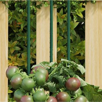 ARDEBO.de - Pflanzenstützen 30 Stk. Grün 60 cm Stahl