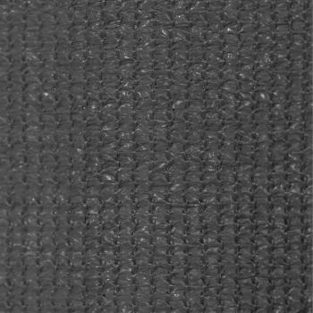 Außenrollo 65 (B) x 230 (H) cm Anthrazit