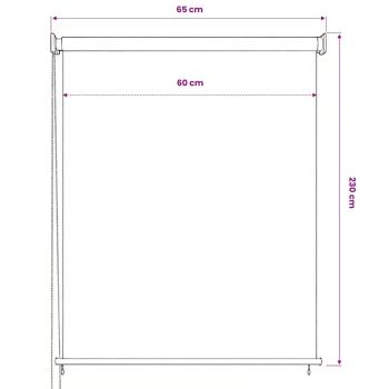 Außenrollo 65 (B) x 230 (H) cm Anthrazit