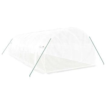 Gewächshaus mit Stahlrahmen Weiß 24 m² 8x3x2 m