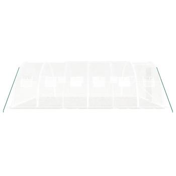 Gewächshaus mit Stahlrahmen Weiß 24 m² 6x4x2 m