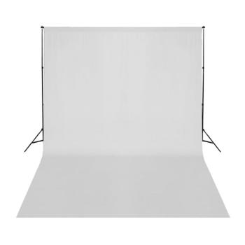 Fotostudio-Set mit Leuchten, Hintergrund und Reflektor