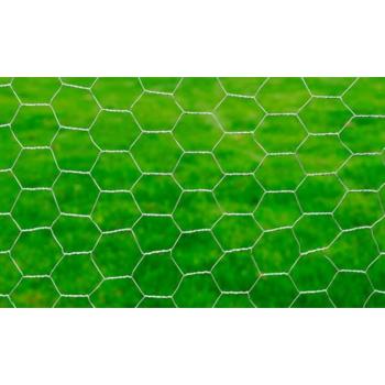 Drahtzaun für Hühner Verzinkter Stahl 25x1 m Silbern