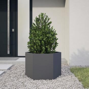 ARDEBO.de - Pflanzkübel Anthrazit Sechseckig 69x60x45 Stahl