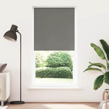 ARDEBO.de - Verdunkelungsrollo Grau 95x230 cm Stoffbreite 90,7 cm Polyester