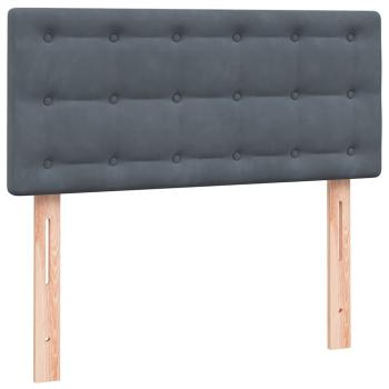 Boxspringbett mit Matratze Dunkelgrau 80x210 cm Samt