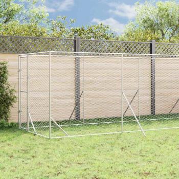 Outdoor-Hundezwinger mit Dach Silbern 2x10x2,5 m Stahl Verzinkt