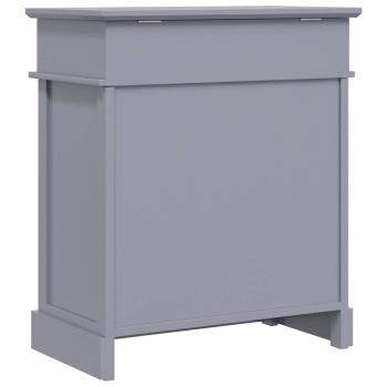 Schuhschrank Grau 50 x 28 x 58 cm Paulownia Holz