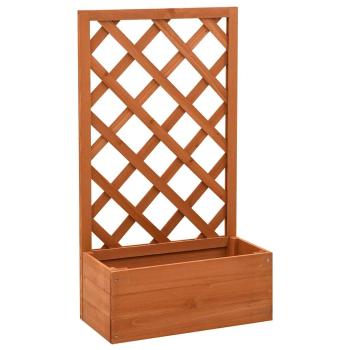 ARDEBO.de - Garten-Spalier mit Blumenkasten Orange 50x25x90 cm Tannenholz