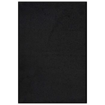 ARDEBO.de - Fußmatte 80x120 cm Schwarz