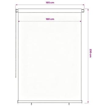 Außenrollo 165 (B)x230 (H) cm Blau HDPE
