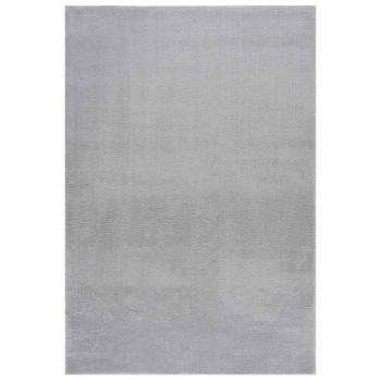 Teppich Waschbar Flauschig Kurzflor 160x230 Rutschfest Grau
