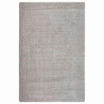 ARDEBO.de - Shaggy-Teppich Hellgrau 200x290 cm Rutschfest