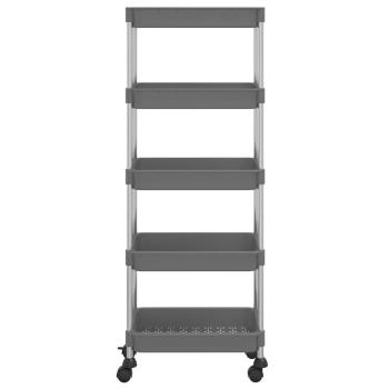 Küchenwagen 5 Etagen Grau 42x29x128 cm Eisen und ABS