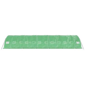Gewächshaus mit Stahlrahmen Grün 60 m² 12x5x2,3 m