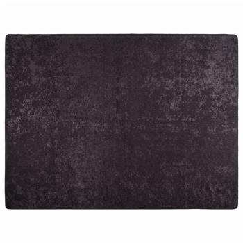 Teppich Waschbar Anthrazit 400x300 cm